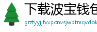 下载波宝钱包